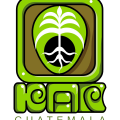 cropped-KAN-logo-1.png